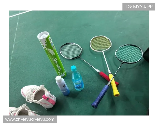 羽毛球扑球的分类 羽毛球扑球的分类