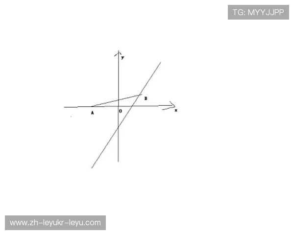 羽毛球线 ab 羽毛球线 ab
