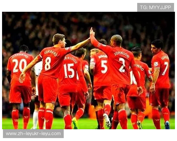 意甲球员加盟江苏球队案例及影响力分析