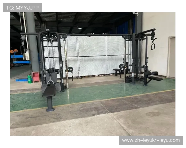 高端健身器材供应商厂家直供商用家用器械 高端健身器材供应商厂家直供商用家用器械